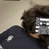 po_1v