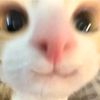 soyshadoww_