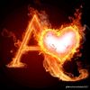 sid.ahmed73