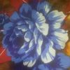 user421752708