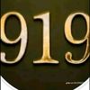 .91902946