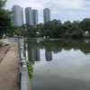 bonphuong49