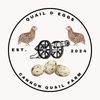 cannonquailfarm