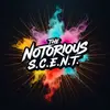 thenotoriouss.c.e.n.t