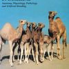 Animal Reproduction