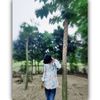 arif_vai_67