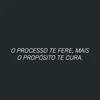 girassol7713