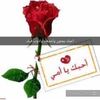 user6862155719270