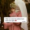 gamal.hamza53