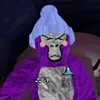 jjvr24