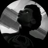 hum_berto5
