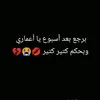 assiya49877