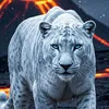 user134050467