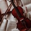 violin.lover_