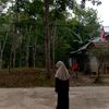 hidayahhnurr