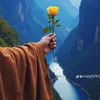 haidebipbyp