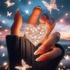 ammar_hamed0