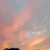 kiaraaa_254