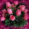 rossivprdbt