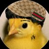 teamchiripollo