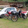 fabiano8429