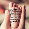 yris.agrinzone