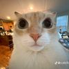 derek_sloi