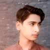 nawabsabtain1