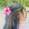 user4240723931492