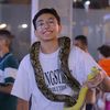 dragon13636