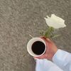 ms_51167
