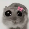 amanda.souza9647