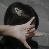 ice.cream_lai