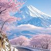 mount.fugi567
