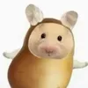 _779905