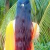 israt.jahan.ritu529