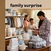 Family Surprise