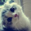dont_knowem._