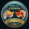 moli.kisaran