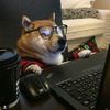 Barksterpiece