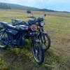 kolya1382
