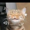 acheatsun