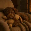 flauschinator