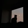 dream.catcher1116