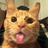 itzzfor_a