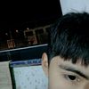 adonys_puma