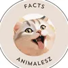 Animalesz