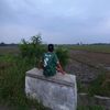 abciuk1