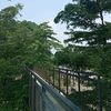 yazz_402