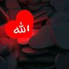 arhan3678